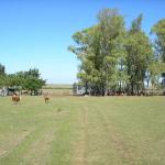 Cattle ranch