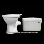 Ceramic Toilet with Cistern 1