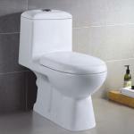 Ceramics Economic one piece Toilet DA033 DA033