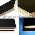 Cheap black film faced plywood 1220x2440