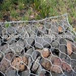 Chicken Wire Gabion (Galvanized) cg-001