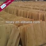 China hot sell eucalyptus core veneer veneer