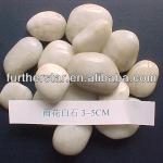 Chinese natural white pebbles GS-1513