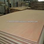 Commercial plywood TD-PLY01