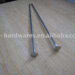 common Tile nail BWG