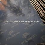 concrete shuttering plywood with logo bl009