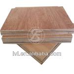 construction material hardwood plywood with eucalyptus made in china HPL formica laminate plywood timber