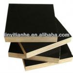 Construction use 18mm film faced plywood TH-F