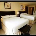 Crown Regency Mactan Cebu Php3,500 / night