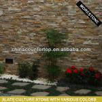 Cultured Stone(Various Culture Stone) MS-CultureStone