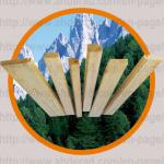 Curtain Wall Wood Structure