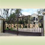 decorative ornamental iron driveway gate FSM-062 FSM-062