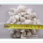 Decorative White Gravel For Garden Decorative White Gravel For Garden