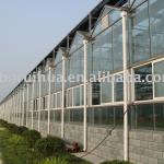 Double Layer Glass Greenhouse LB96Ss4