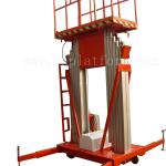 Double Mast Man Lift GTWY12-200S