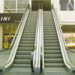 Electric Escalator F-001-32A