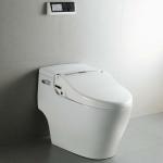 Electrical Bidet HDB-1500R-101