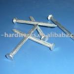 Electro Galvanized Concrete Nail BWG