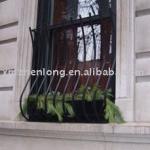 elegant wrought iron window grill IWG-004