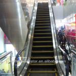 escalator manufacture in China GRE20