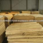 Eucalyptus core veneer TD-EV01