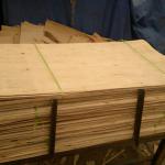 Eucalyptus Core Veneer