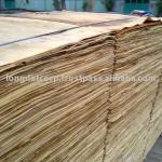 Eucalyptus Veneer LD_2011_MCV02