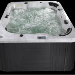 European Swim Spa Earl B-329