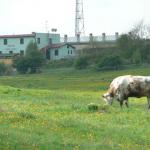 Farm for Sale in Slovak Republic EU