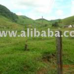 FARM LAND FOR SALE IN Brazil