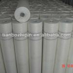 Fiberglass mesh 145g/m2-5*5mm