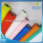 Fiberglass net FG60-300g/m2