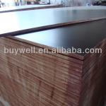 film faced plywood bailiwei0001