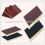 film faced plywood for construction JY-01