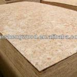 For Russian Market 1220*2440*8 OSB / Oriented Strandboard 1