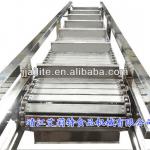 Fruit &amp; Vegetable stainless steel chain-plate elevator BSJ