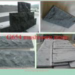 G654 stone mushroom(own quarry) YP-GT-005