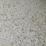 G682 granite stone SF-G682