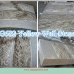 G682 yellow granite wall stone YP0023