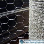 Gabion wire mesh with good quality (real factory)