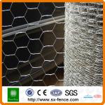 Galvaniesd &amp; PVC coated hexagonal gabion wire mesh box SX-GWM