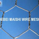 galvanized hexagonal wire mesh MS-HWM