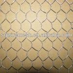 galvanized/pvc power hexagonal wire mesh(professional manufacturer) SQ-06