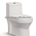 GCD2039-washdown one-piece toilet with big outlet hole dim.:100mm GCD2039