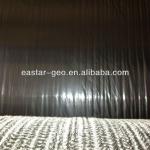 Geosynthetic clay liner with HDPE geomembrane,bentonite mat GTL GTL