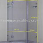 Glass Shower screen 10mm