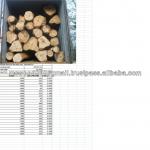 Gmelina Round Logs : Origin Ghana Gmelina