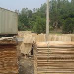 Good price Eucalyptus Core Veneer EIW0036