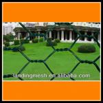 good quality hexagonal wire mesh from anping factory 125