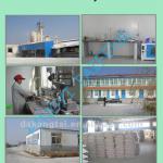 Gypsum Powder PYTF002